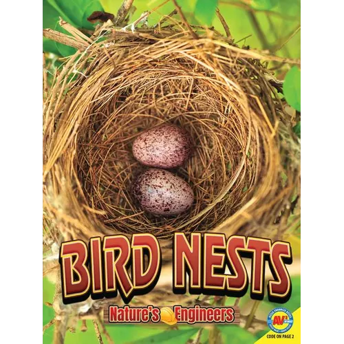 Bird Nests