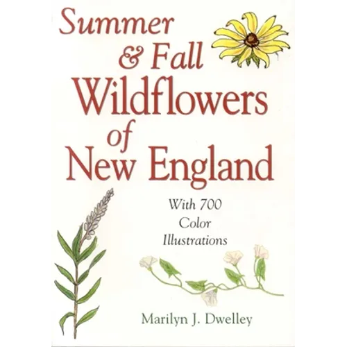 Summer & Fall Wildflowers of New England