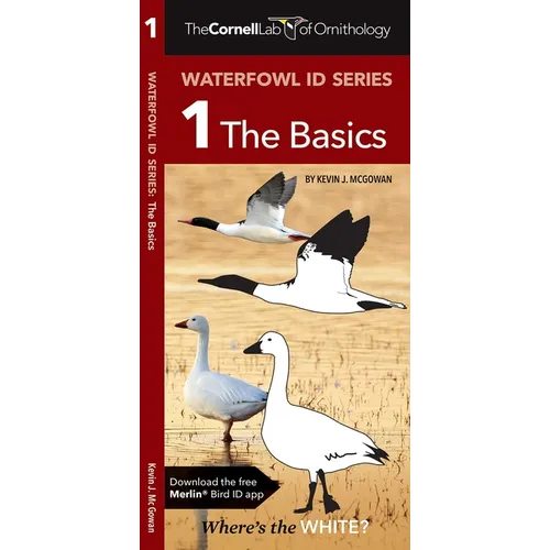 Cornell Lab of Ornithology Waterfowl Id Series: 1 the Basics: Cornell Lab of Ornithology Bird Id Series
