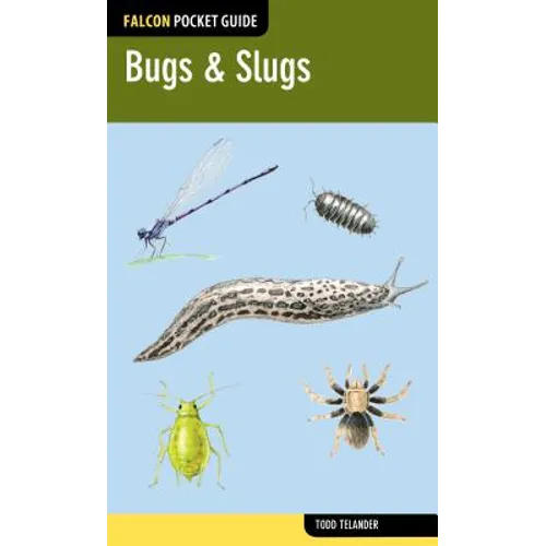Bugs & Slugs