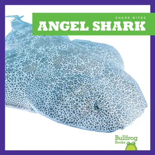 Angel Shark