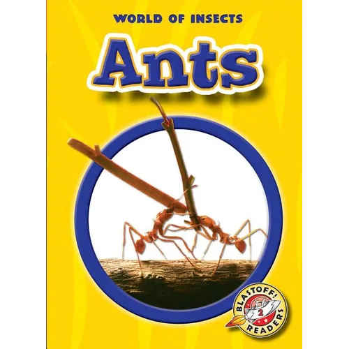 Ants