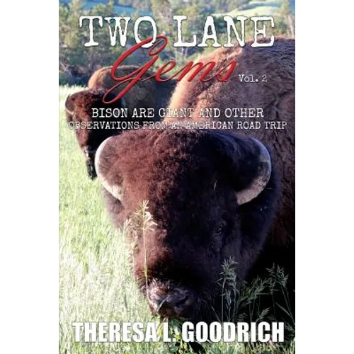 Two Lane Gems, Vol. 2: Bison are Giant and Other Observations from an American Road Trip