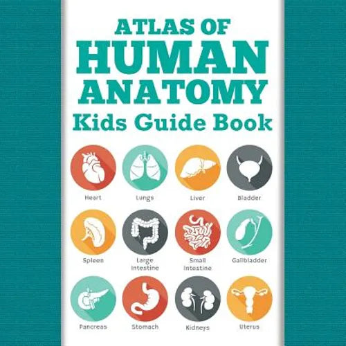 Atlas Of Human Anatomy: Kids Guide Book