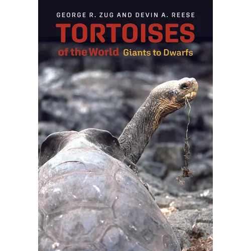 Tortoises of the World: Giants to Dwarfs