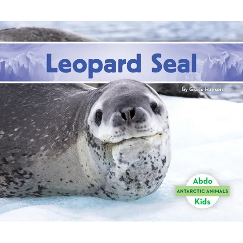 Leopard Seal