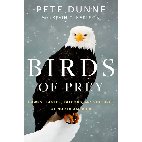Birds of Prey: Hawks, Eagles, Falcons, and Vultures of North America