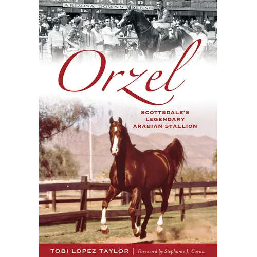 Orzel: Scottsdale's Legendary Arabian Stallion
