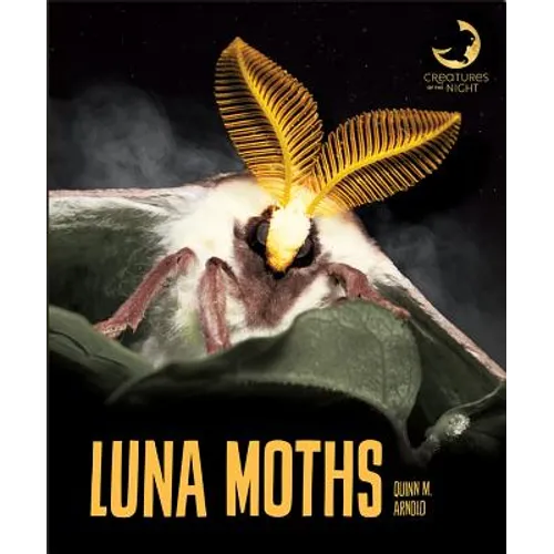 Luna Moths