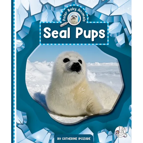 Seal Pups