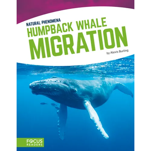 Humpback Whale Migration