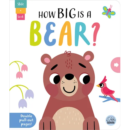 How Big Is a Bear?