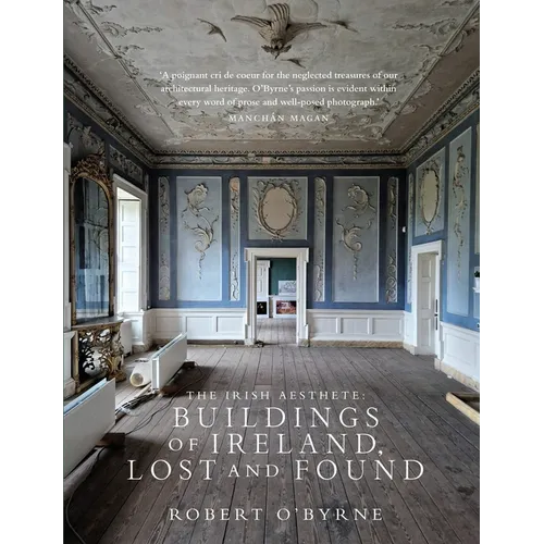 The Irish Aesthete: Buildings of Ireland, Lost and Found