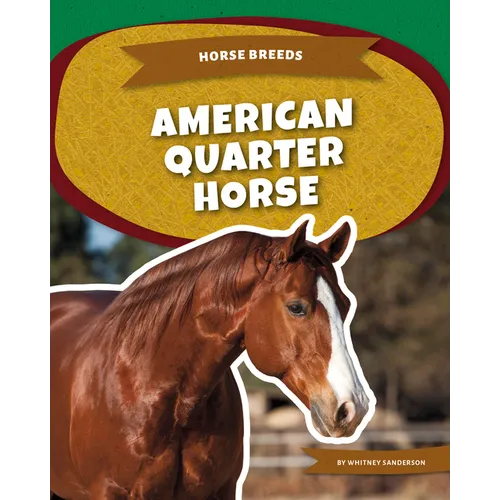 American Quarter Horse