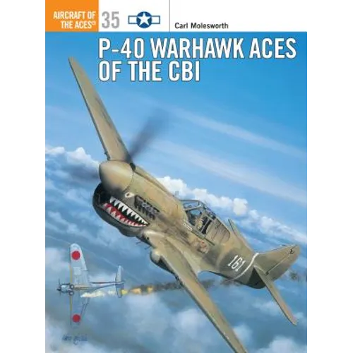 P-40 Warhawk Aces of the Cbi