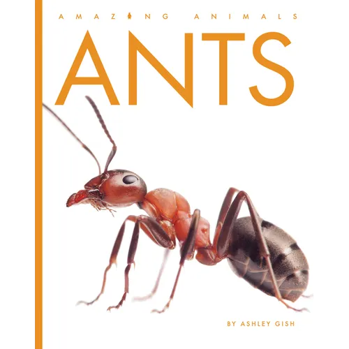 Ants