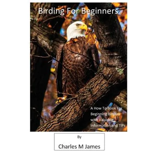 Birding for Beginners