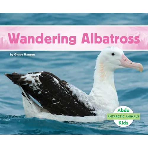 Wandering Albatross