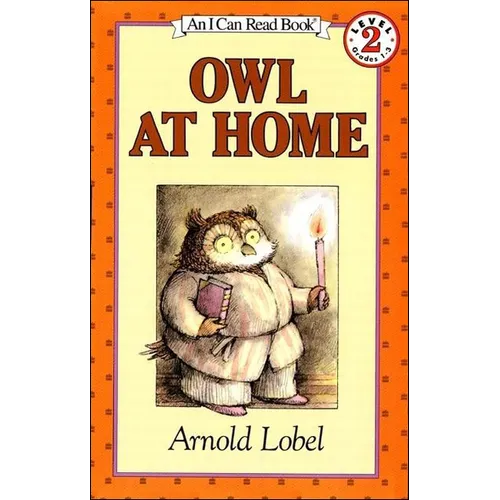 Owl at Home