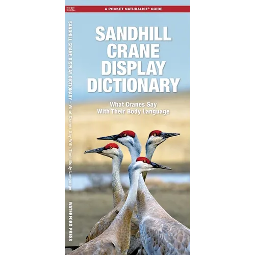 Sandhill Crane Display Dictionary, 2nd Ed: What Cranes Say with Their Body Language