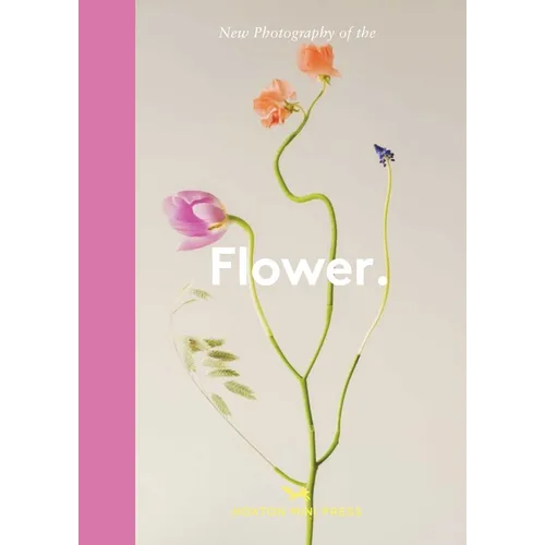 New Photography of the Flower.