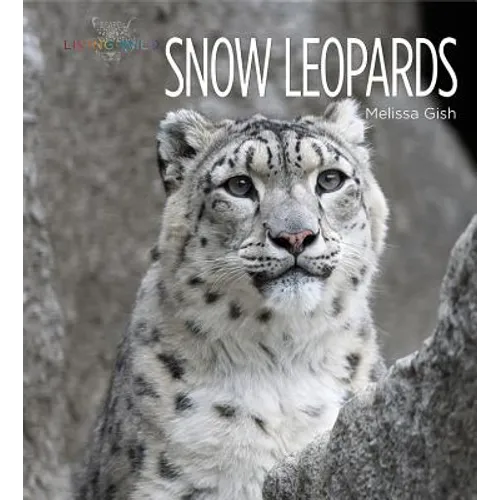 Snow Leopards