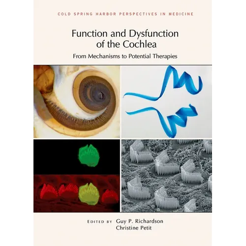 Function and Dysfunction of the Cochlea: From Mechanisms to Potential Therapies