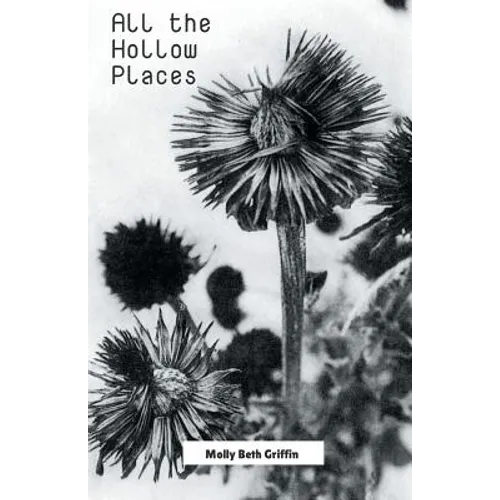 All the Hollow Places