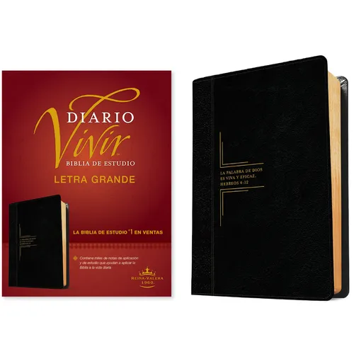 Biblia de Estudio del Diario Vivir Rvr60, Letra Grande (Letra Roja, Sentipiel, Negro/Ónice)