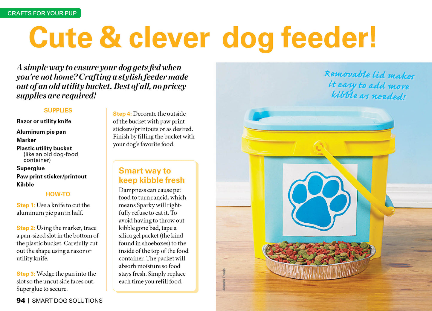 First For Women Specials - Smart Dog Solutions: 175 Genius Tips to Treat Your Pup Right ... For Less! Discover Ways To Banish Drool Marks, Soothe Firework Fears, Craft DIY Pet Stairs & More!
