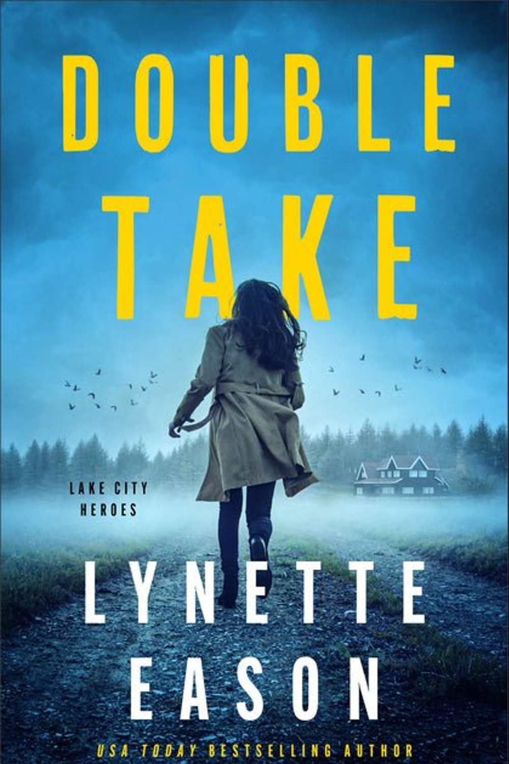 Double Take Book