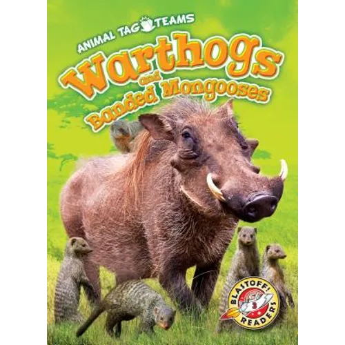 Warthogs and Banded Mongooses