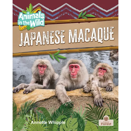 Japanese Macaque
