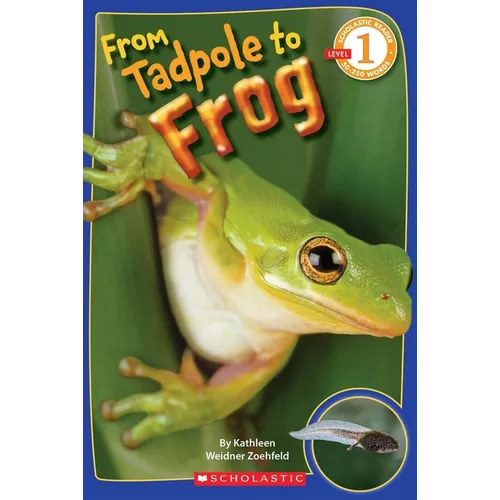 From Tadpole to Frog (Scholastic Reader, Level 1)
