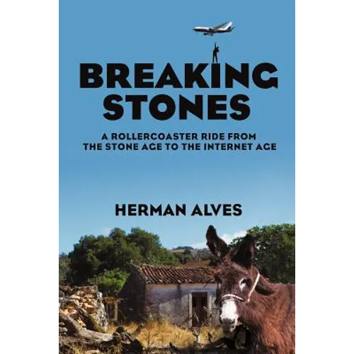 Breaking Stones: A Rollercoaster Ride from the Stone Age to the Internet Age