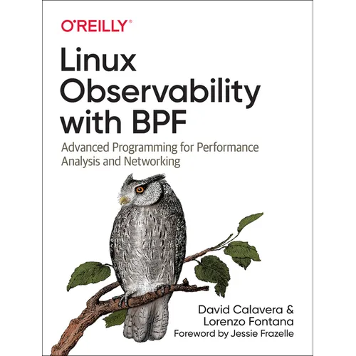 Linux Observability with Bpf: Advanced Programming for Performance Analysis and Networking