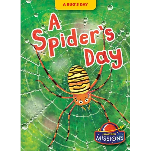 A Spider's Day