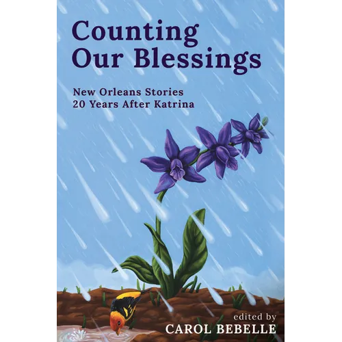 Counting Our Blessings: The Other Katrina Stories