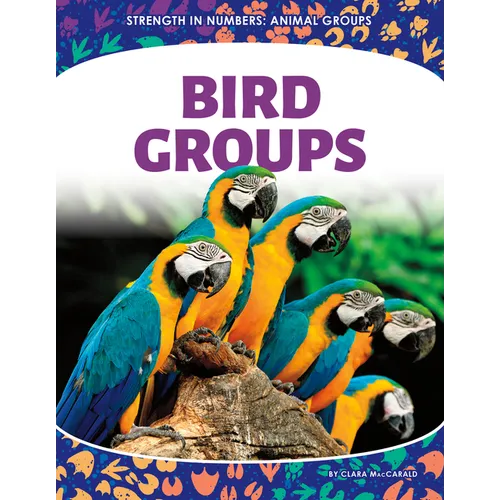 Bird Groups