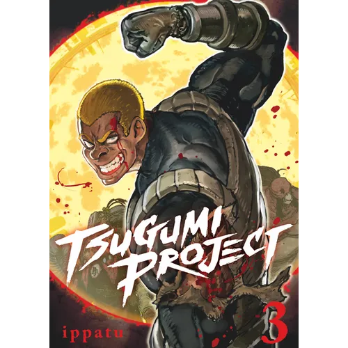 Tsugumi Project 3