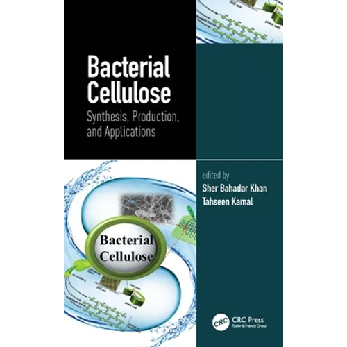 Bacterial Cellulose: Synthesis, Production, and Applications