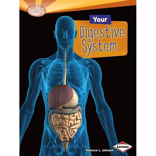 Your Digestive System