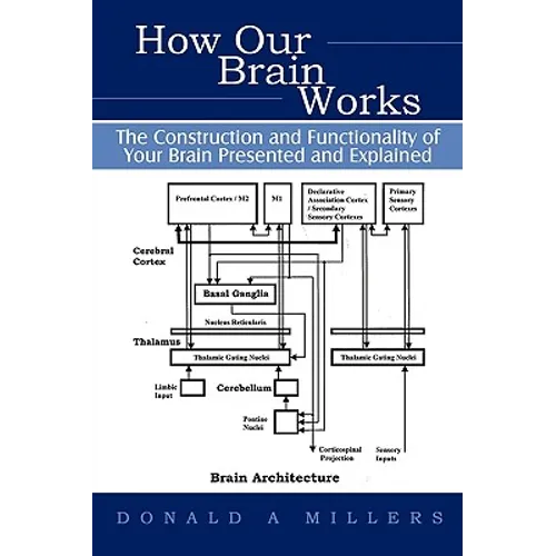 How Our Brain Works: The Construction and Functionality of Your Brain Presented and Explained