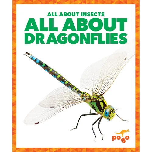 All about Dragonflies
