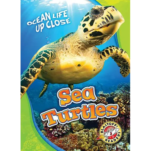 Sea Turtles