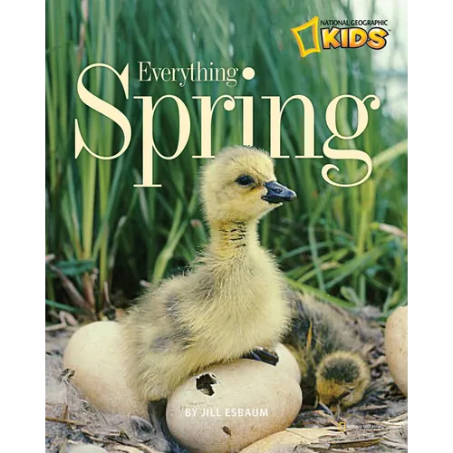 Everything Spring