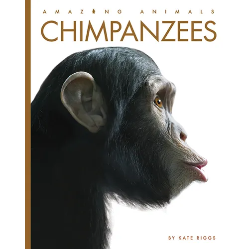 Chimpanzees