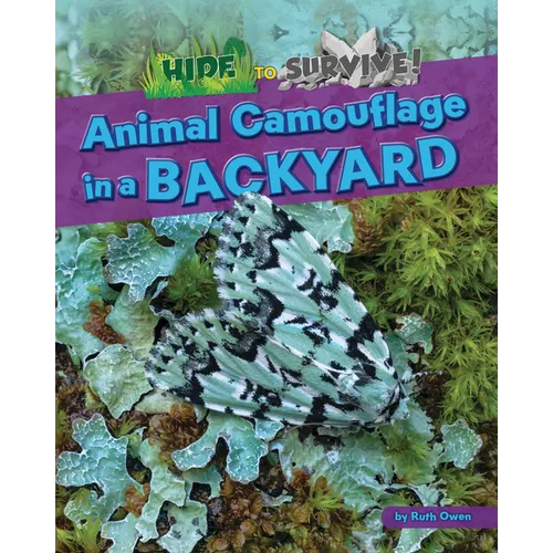 Animal Camouflage in a Backyard