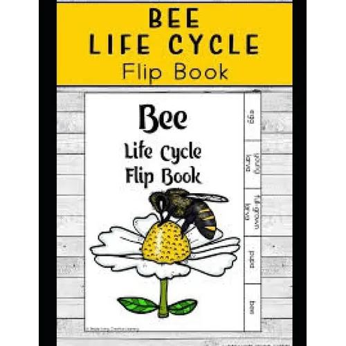 Life Cycle of Bees