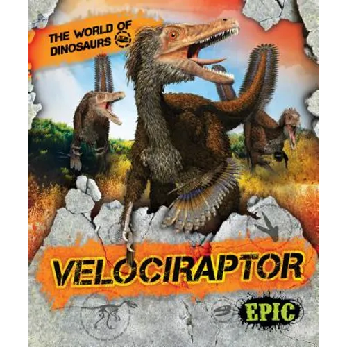 Velociraptor